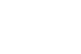 DVBA Annual Report on Downtown Victoria