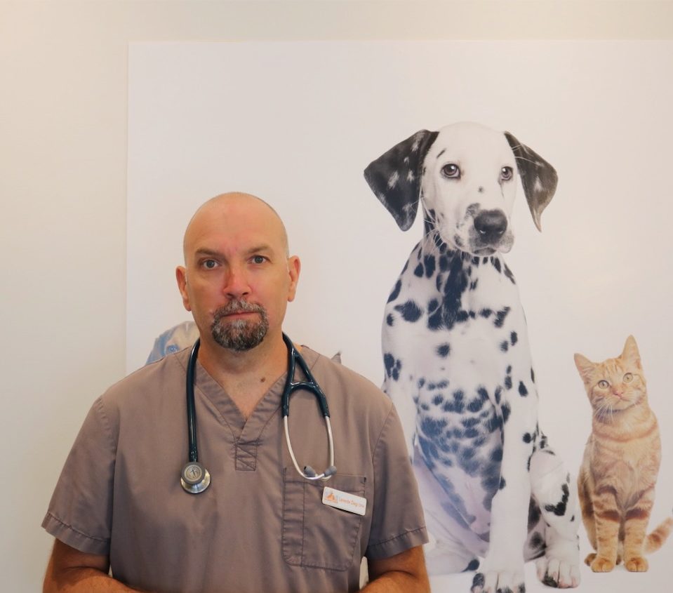 small-biz-spotlight-downtown-victoria-vet-clinic-dvba