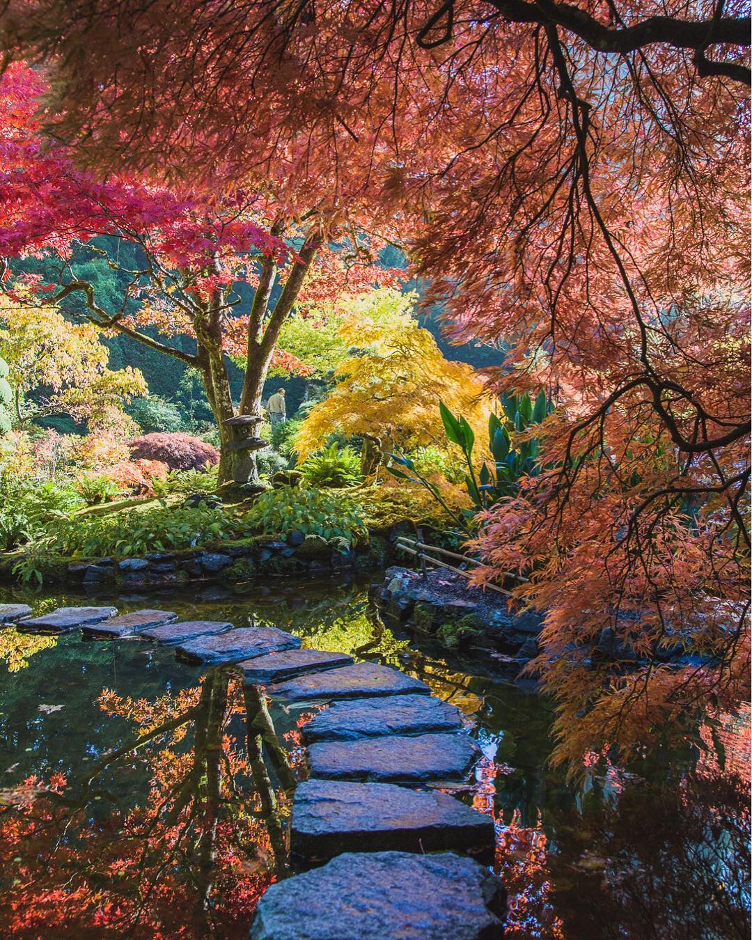 Butchart Gardens Fall Colours
