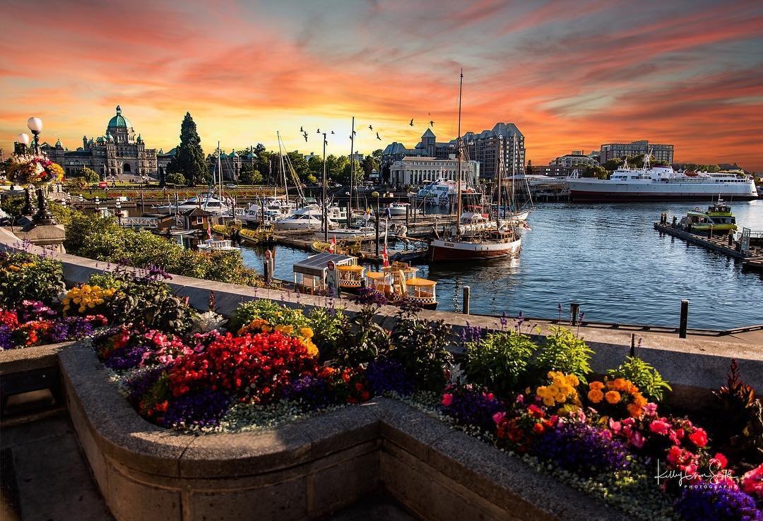 Inner Harbour Victoria Sunset