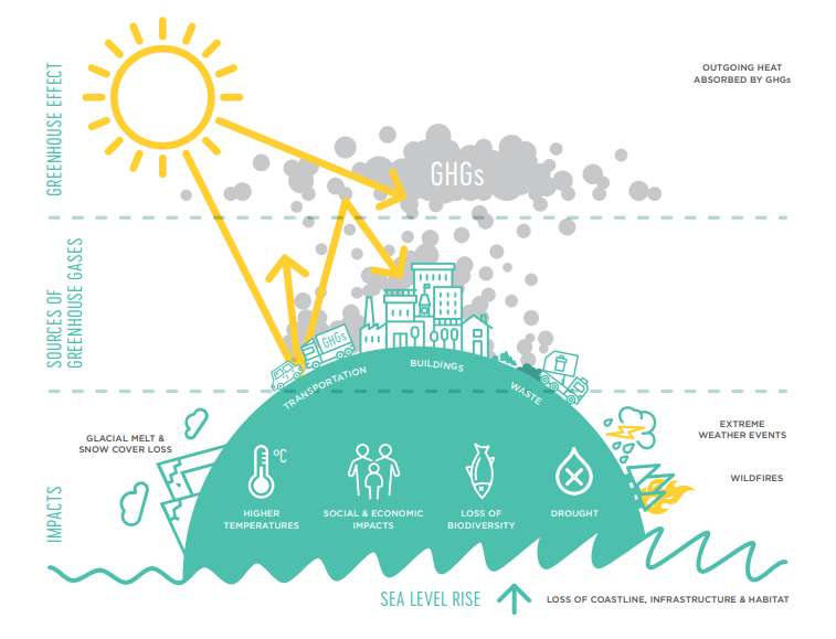 sustainability victoria business plan