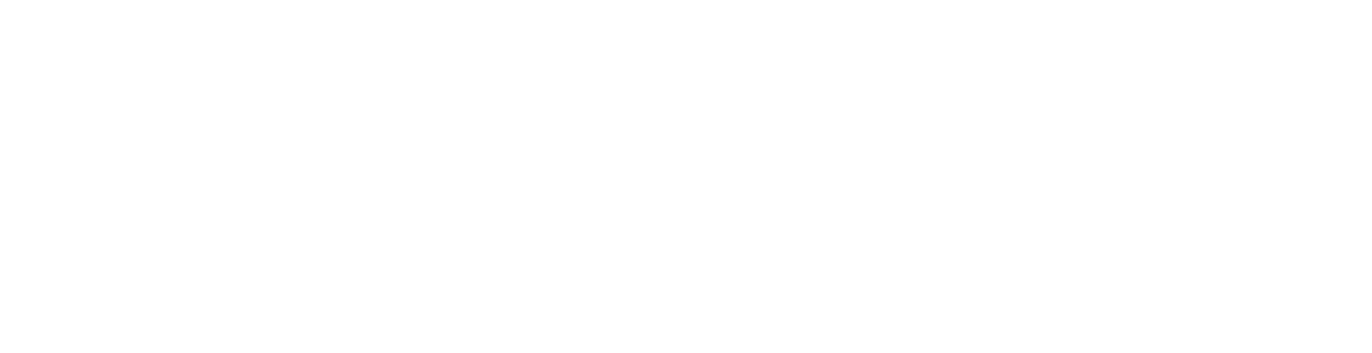 DVBA-Logos_IconLogo-White