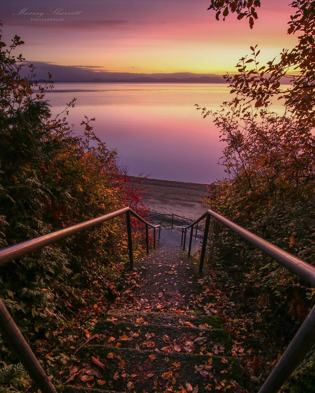 @murraysharrattphotography